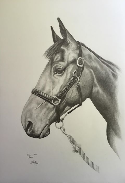 Horse Pencil Drawing